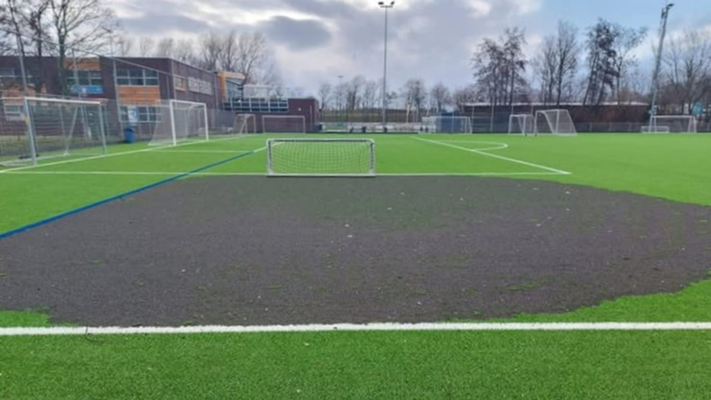 Copyright: Francisca Verbeek sc monster