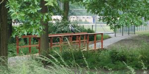 Natuurinclusieve-sportlocaties-Foto-Guy-Oldenkotte