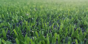 Senbis GreenFill en Greenblade